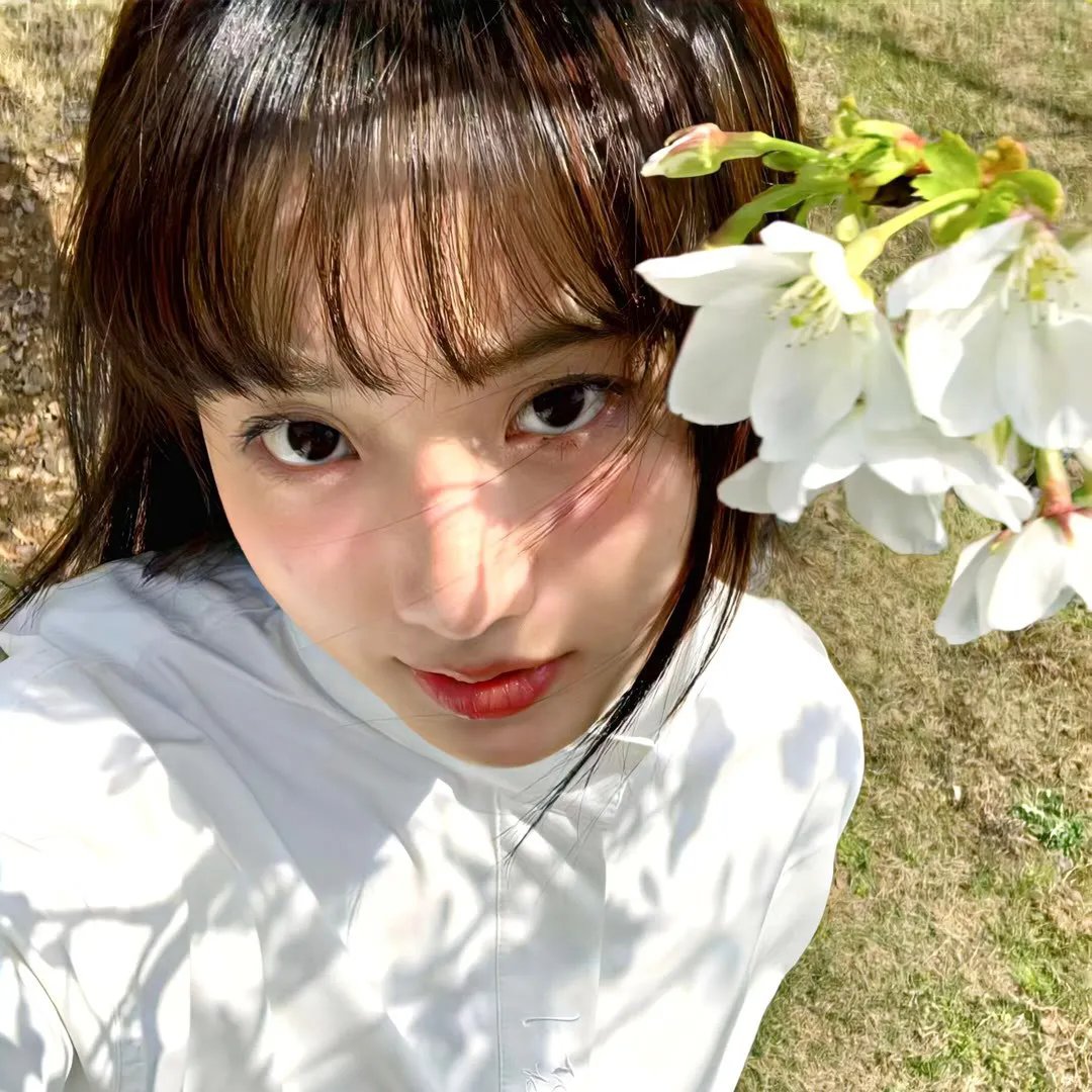 民国侦探诡事录